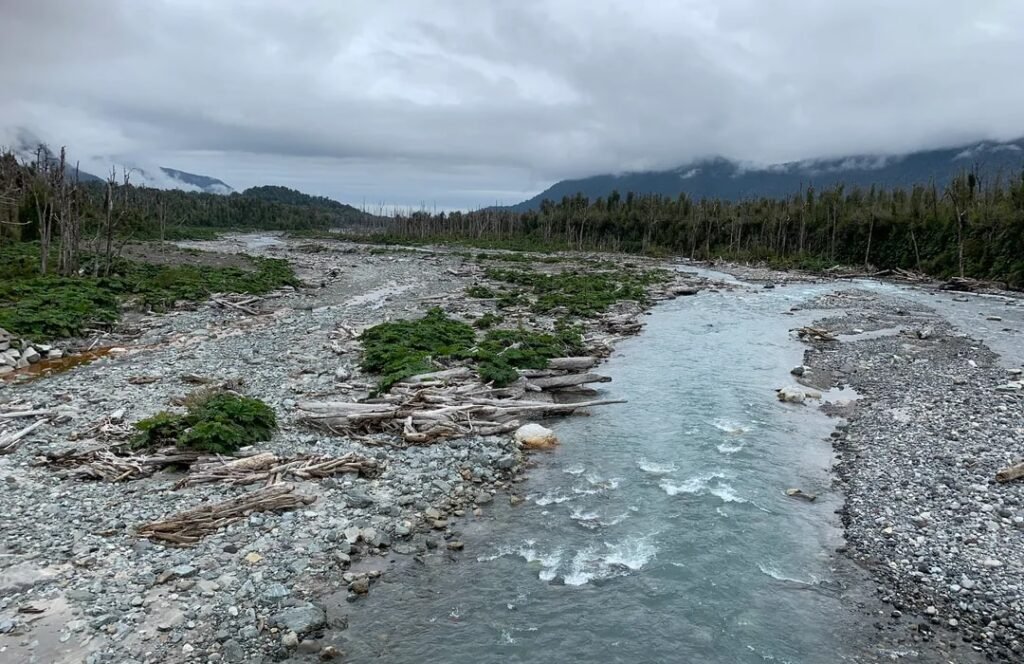 riochaiten1 riochaiten1